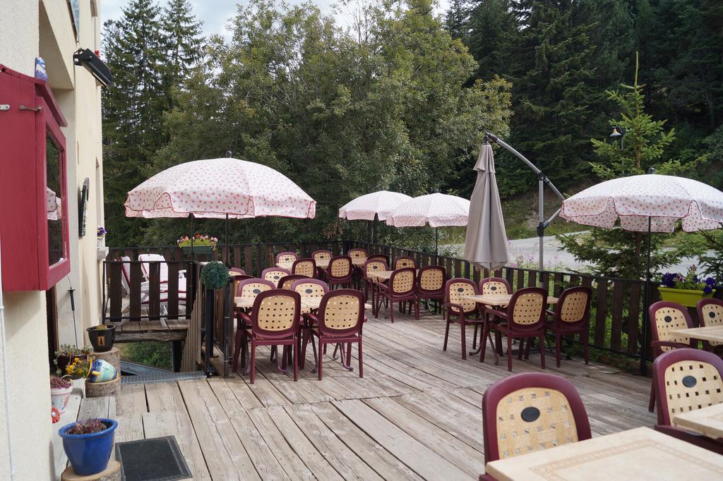 Hotel - Restaurant Le Blanchon Selonnet Εξωτερικό φωτογραφία