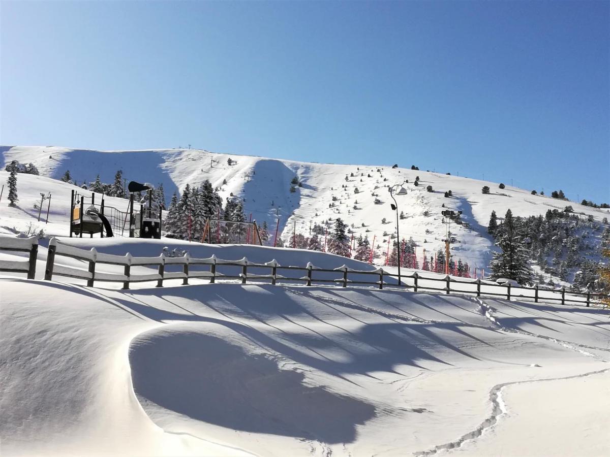 Hotel - Restaurant Le Blanchon Selonnet Εξωτερικό φωτογραφία