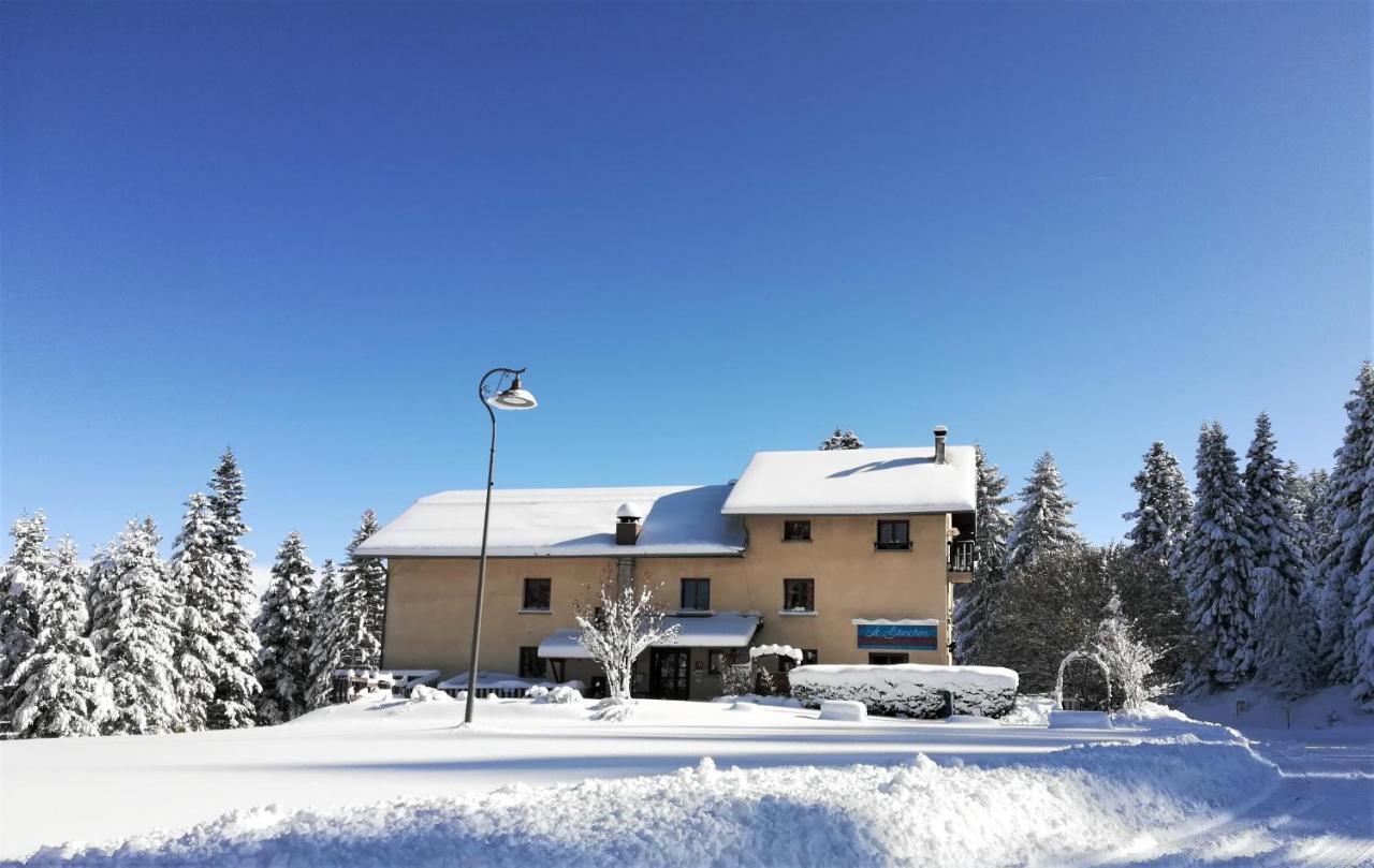 Hotel - Restaurant Le Blanchon Selonnet Εξωτερικό φωτογραφία